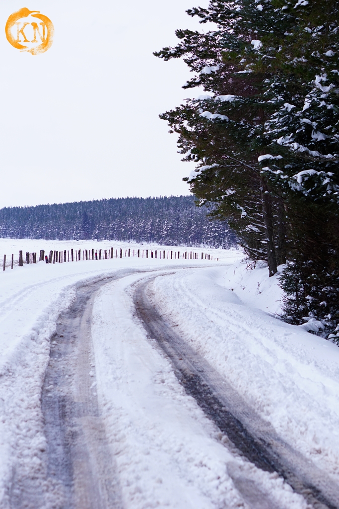 road closed, winter